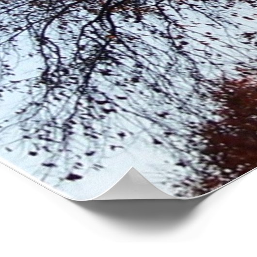 Herbst-Bäume Poster (Ecke)