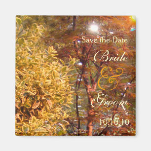 Herbst-Bäume Save the Date Magnet