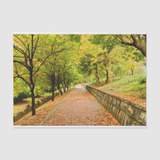 Herbst-Bäume Seidenpapier