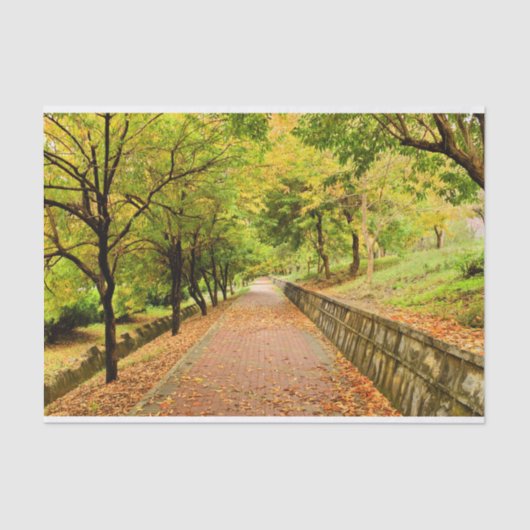 Herbst-Bäume Seidenpapier (Vorderseite)