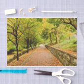 Herbst-Bäume Seidenpapier (Handwerk)