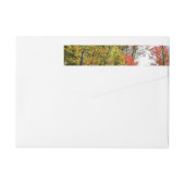 Herbst Bäume und Blue Sky Herbst Natur Fotografie (Rückseite)