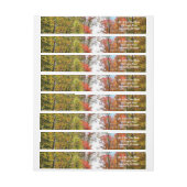 Herbst Bäume und Blue Sky Herbst Natur Fotografie (Bogen)