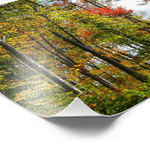 Herbst Bäume und Blue Sky Herbst Natur Fotografie (Ecke)