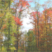 Herbst Bäume und Blue Sky Herbst Natur Fotografie Aufkleber (Vorderseite)