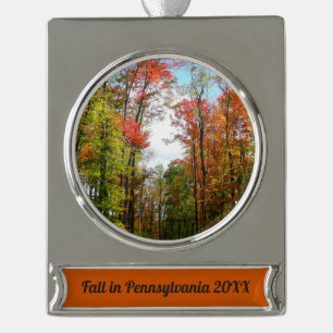 Herbst Bäume und Blue Sky Herbst Natur Fotografie Banner-Ornament Silber
