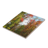 Herbst Bäume und Blue Sky Herbst Natur Fotografie Fliese (Seite)