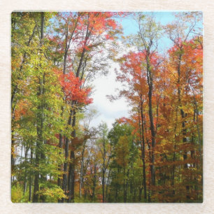 Herbst Bäume und Blue Sky Herbst Natur Fotografie Glasuntersetzer