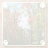 Herbst Bäume und Blue Sky Herbst Natur Fotografie Glasuntersetzer (Rückseite)