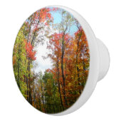 Herbst Bäume und Blue Sky Herbst Natur Fotografie Keramikknauf (Rechts)