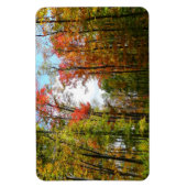 Herbst Bäume und Blue Sky Herbst Natur Fotografie Magnet (Vertikal)