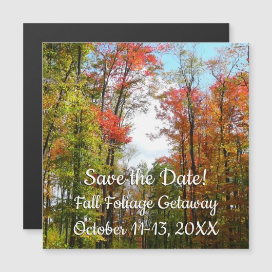 Herbst Bäume und Blue Sky Herbst Natur Fotografie Magnetkarte (Vorne/Hinten)