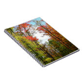 Herbst Bäume und Blue Sky Herbst Natur Fotografie Notizblock (Rechte Seite)