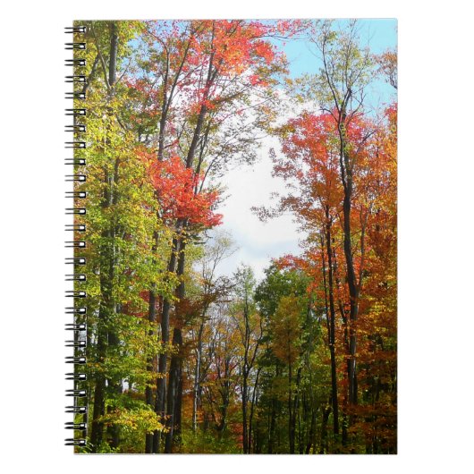 Herbst Bäume und Blue Sky Herbst Natur Fotografie Notizblock (Vorderseite)