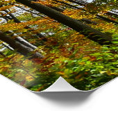 Herbst Bäume und Blue Sky Herbst Natur Fotografie Poster (Ecke)