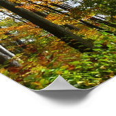 Herbst Bäume und Blue Sky Herbst Natur Fotografie Poster (Ecke)