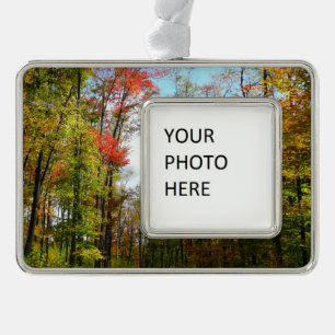 Herbst Bäume und Blue Sky Herbst Natur Fotografie Rahmen-Ornament Silber