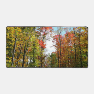 Herbst Bäume und Blue Sky Herbst Natur Fotografie Schreibtischunterlage
