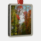 Herbst Bäume und Blue Sky Herbst Natur Fotografie Silbernes Ornament (Rechts)