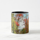 Herbst Bäume und Blue Sky Herbst Natur Fotografie Tasse (Zentrum)