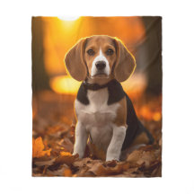 Herbst Beagle Pup