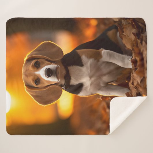 Herbst Beagle Pup Sherpadecke (Vorderseite (Horizontal))