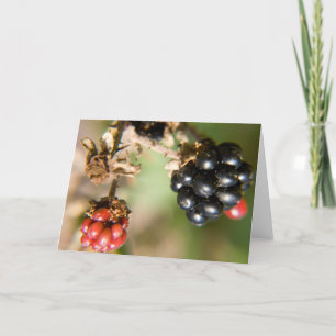 Herbst-Beeren-Grußkarten Karte