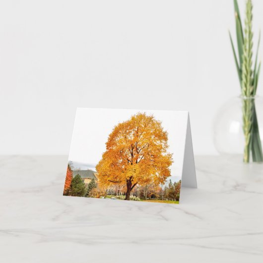 Herbst bei Blackbird Karte (Vorderseite)