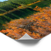 Herbst bei Clear Lake Poster (Ecke)