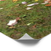 Herbst bei der Großmühle Poster (Ecke)