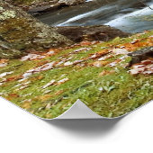 Herbst bei der Großmühle Poster (Ecke)