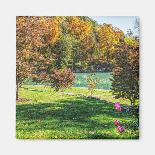 Herbst bei Dogwood Magnet