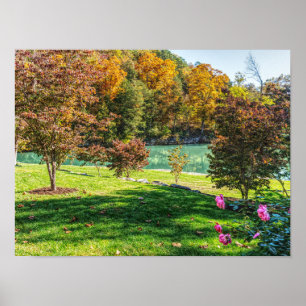 Herbst bei Dogwood Poster