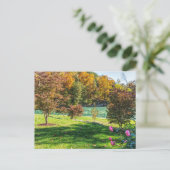 Herbst bei Hogwood Postcard Postkarte (Stehend Vorderseite)