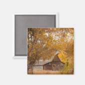 Herbst bei Mormon Row Magnet (Vorderseite/Rückseite)