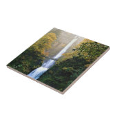 Herbst bei Multnomah Falls, OR Fliese (Seite)