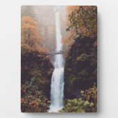 Herbst bei Multnomah Falls, OR Fotoplatte (Vorderseite)