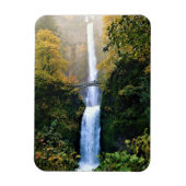 Herbst bei Multnomah Falls, OR Magnet (Vertikal)