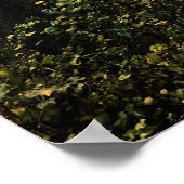 Herbst bei Multnomah Falls, OR Poster (Ecke)