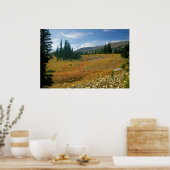 Herbst bei Rainier Poster (Küche)