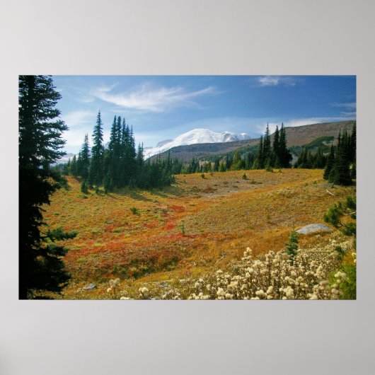 Herbst bei Rainier Poster (Vorne)