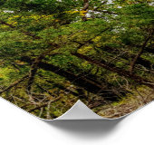 Herbst bei Truman Dam Poster (Ecke)