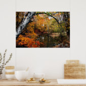 Herbst bei versteinerten Quellen Poster (Küche)