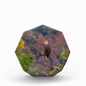 Herbst beobachten fotoblock (Vorderseite)