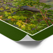 Herbst beobachten poster (Ecke)