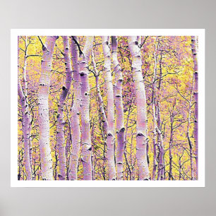 Herbst Birch Poster