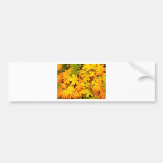 Herbst-Blatt färbt Baum-Party-Schicksals-Feier Autoaufkleber (Vorne)