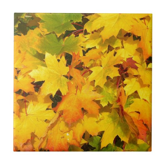 Herbst-Blatt färbt Baum-Party-Schicksals-Feier Fliese (Vorderseite)