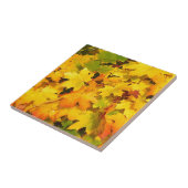 Herbst-Blatt färbt Baum-Party-Schicksals-Feier Fliese (Seite)