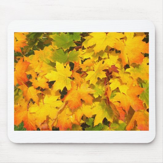 Herbst-Blatt färbt Baum-Party-Schicksals-Feier Mousepad (Vorne)